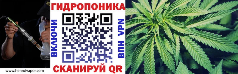 Названия наркотиков Курчалой ГАШИШ  МЕГА как зайти  ЭКСТАЗИ  МЕФ  APVP 
