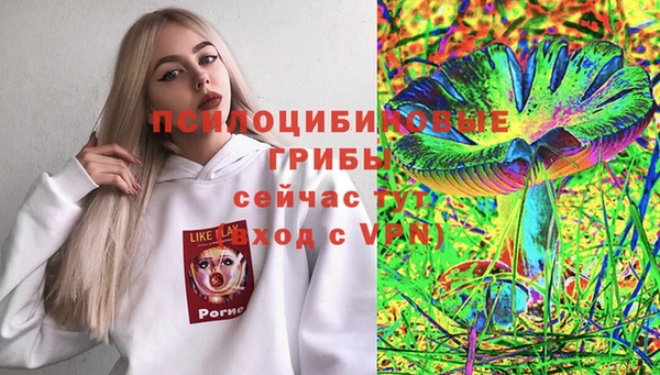 молекула духа Балабаново