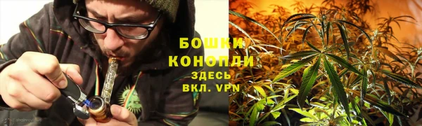 молекула духа Балабаново